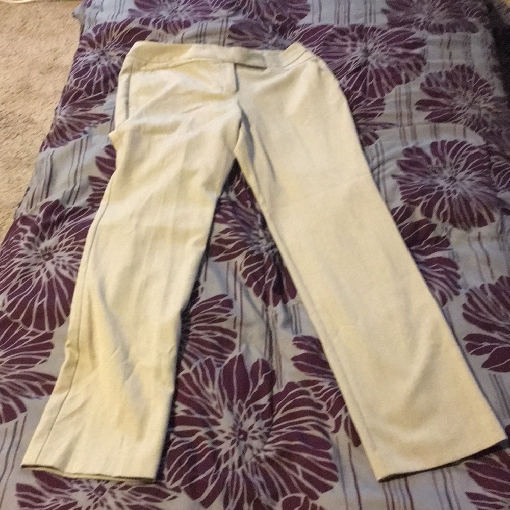 Dress pants